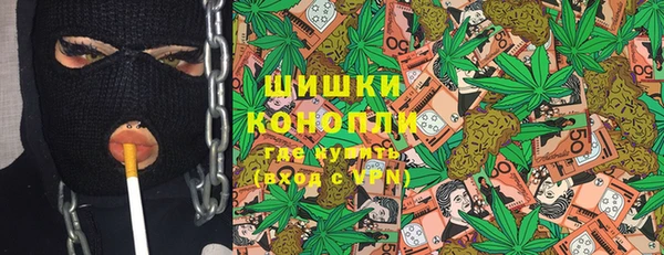 тгк Новозыбков
