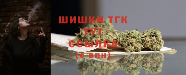 тгк Новозыбков