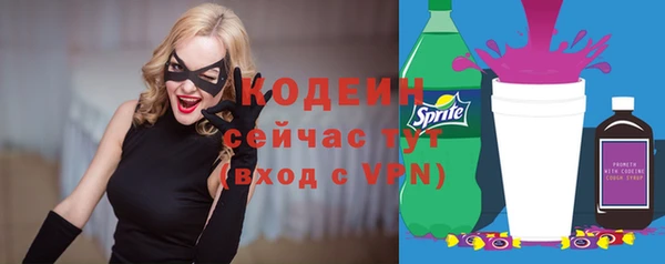 тгк Новозыбков