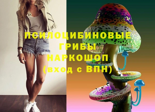соль ск Новокубанск