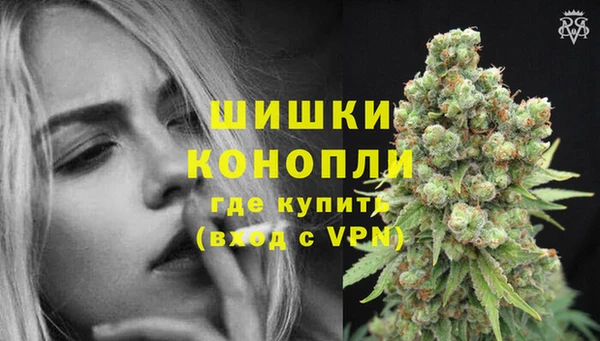 тгк Новозыбков