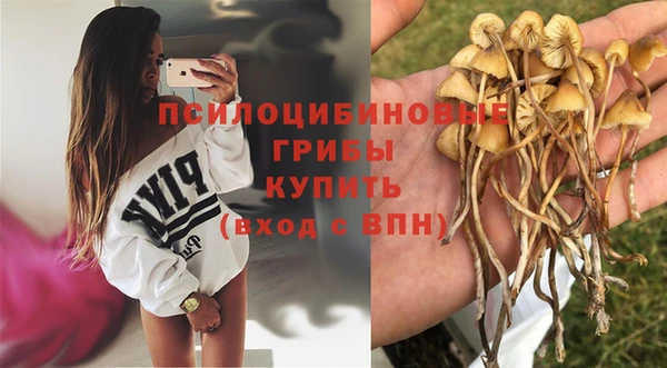 соль ск Новокубанск