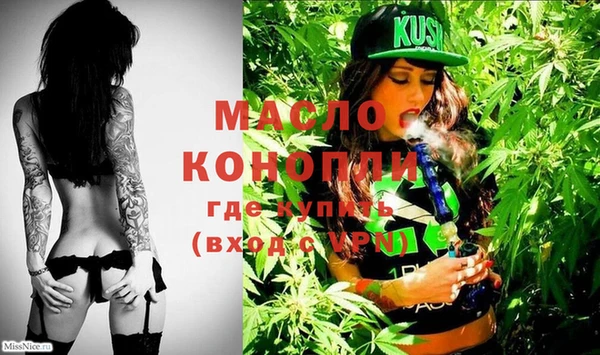 тгк Новозыбков