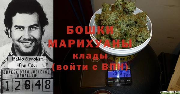 тгк Новозыбков