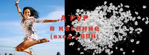 соль ск Новокубанск
