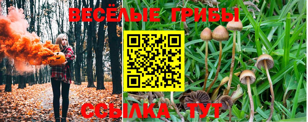 Псилоцибиновые грибы Cubensis  Усолье-Сибирское 