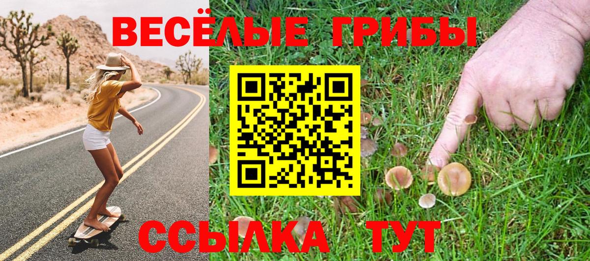 Галлюциногенные грибы Psilocybe Усолье-Сибирское