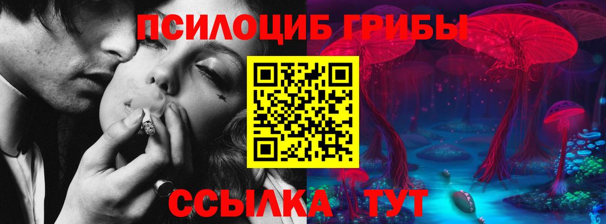 Усолье-Сибирское  Псилоцибиновые грибы Magic Shrooms  Вход с VPN  Галлюциногенные грибы Psilocybe 