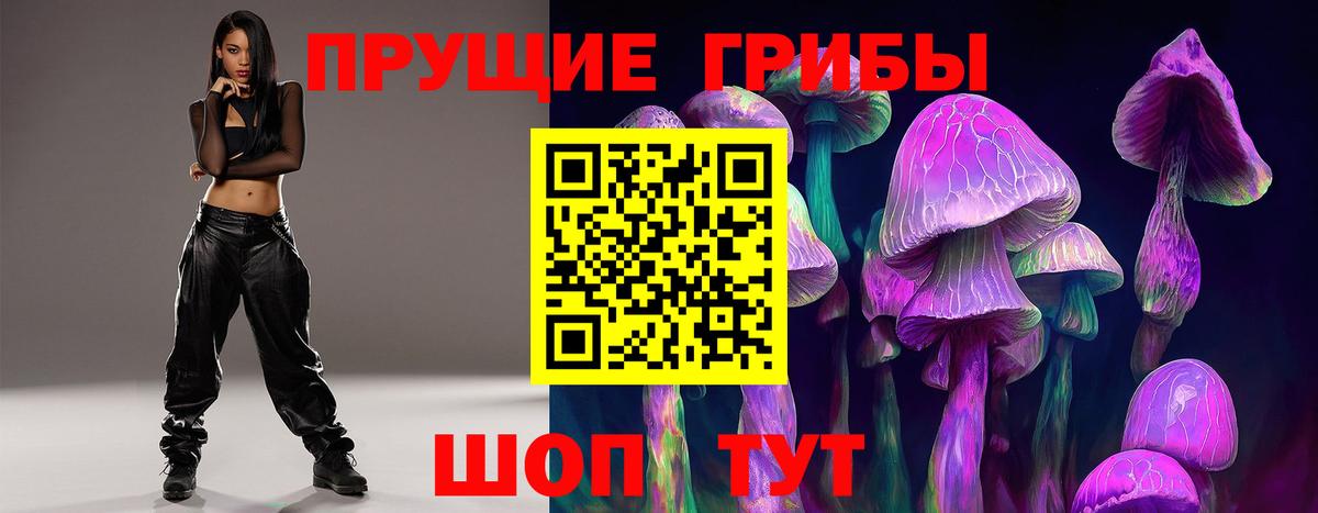 Галлюциногенные грибы Psilocybe Усолье-Сибирское